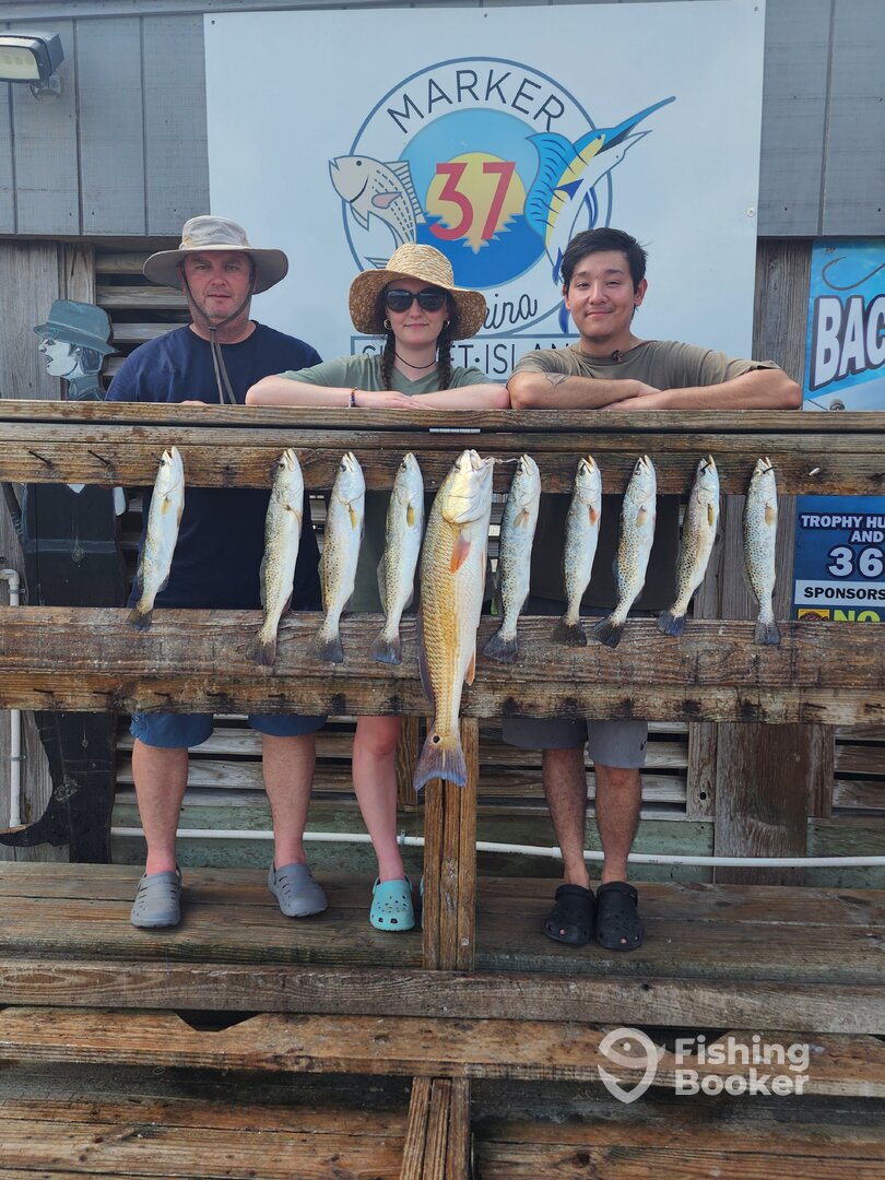 Corpus Christi Report Photo 0