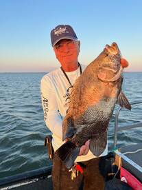 Homosassa Report Photo 1