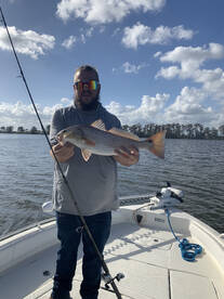 Dauphin Island Report Photo 1