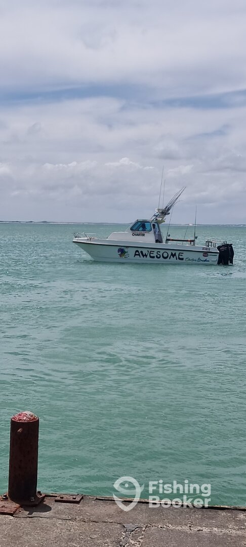 Struisbaai Report Photo 0