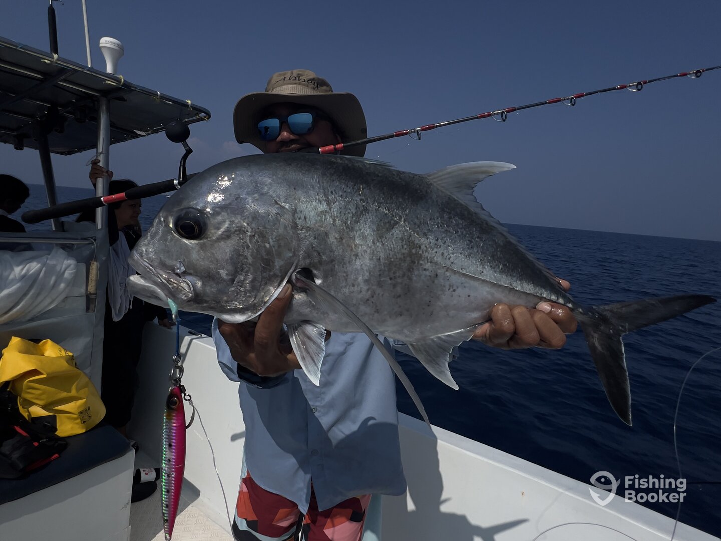 Havelock Report Photo 0