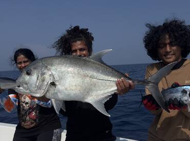 Havelock Report Photo 2