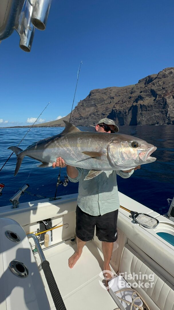 Santiago del Teide Report Photo 0