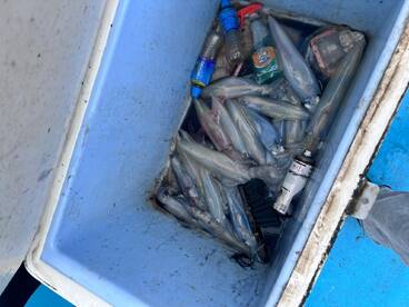 Eastbourne Report Photo 1