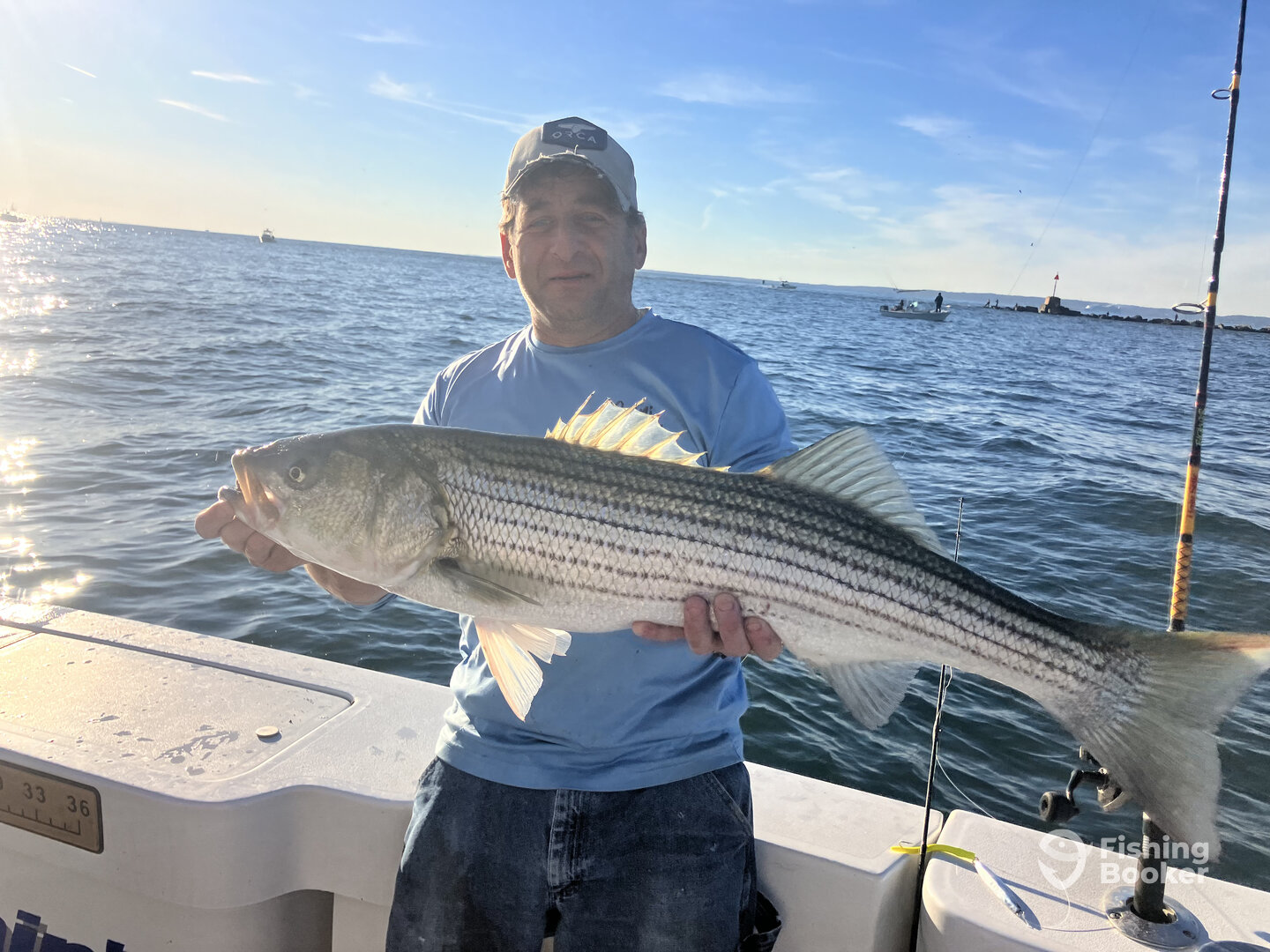 New York City Report Photo 0