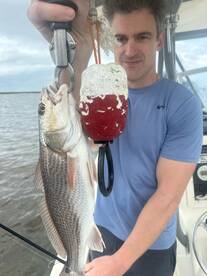 Fernandina Beach Report Photo 1