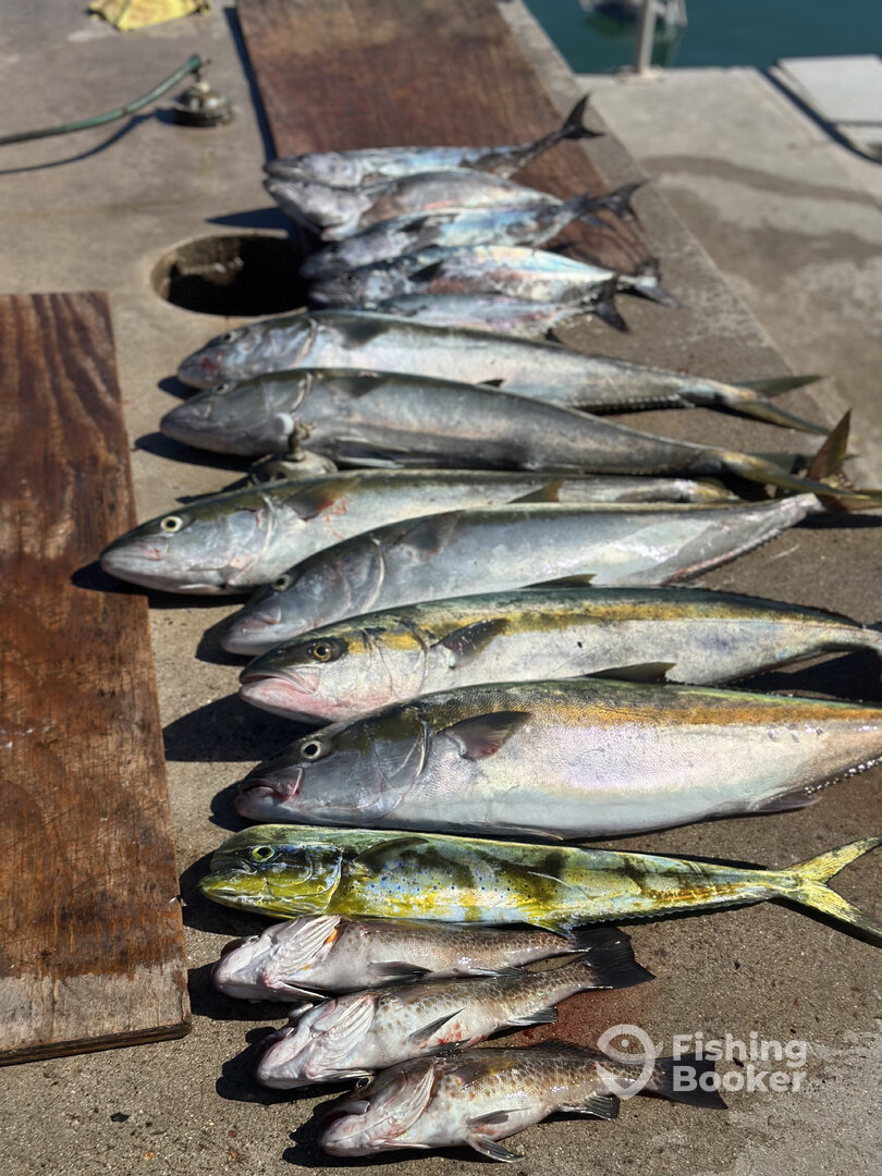 San Carlos Report Photo 0