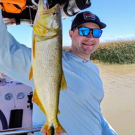 Tigre Report Photo 2