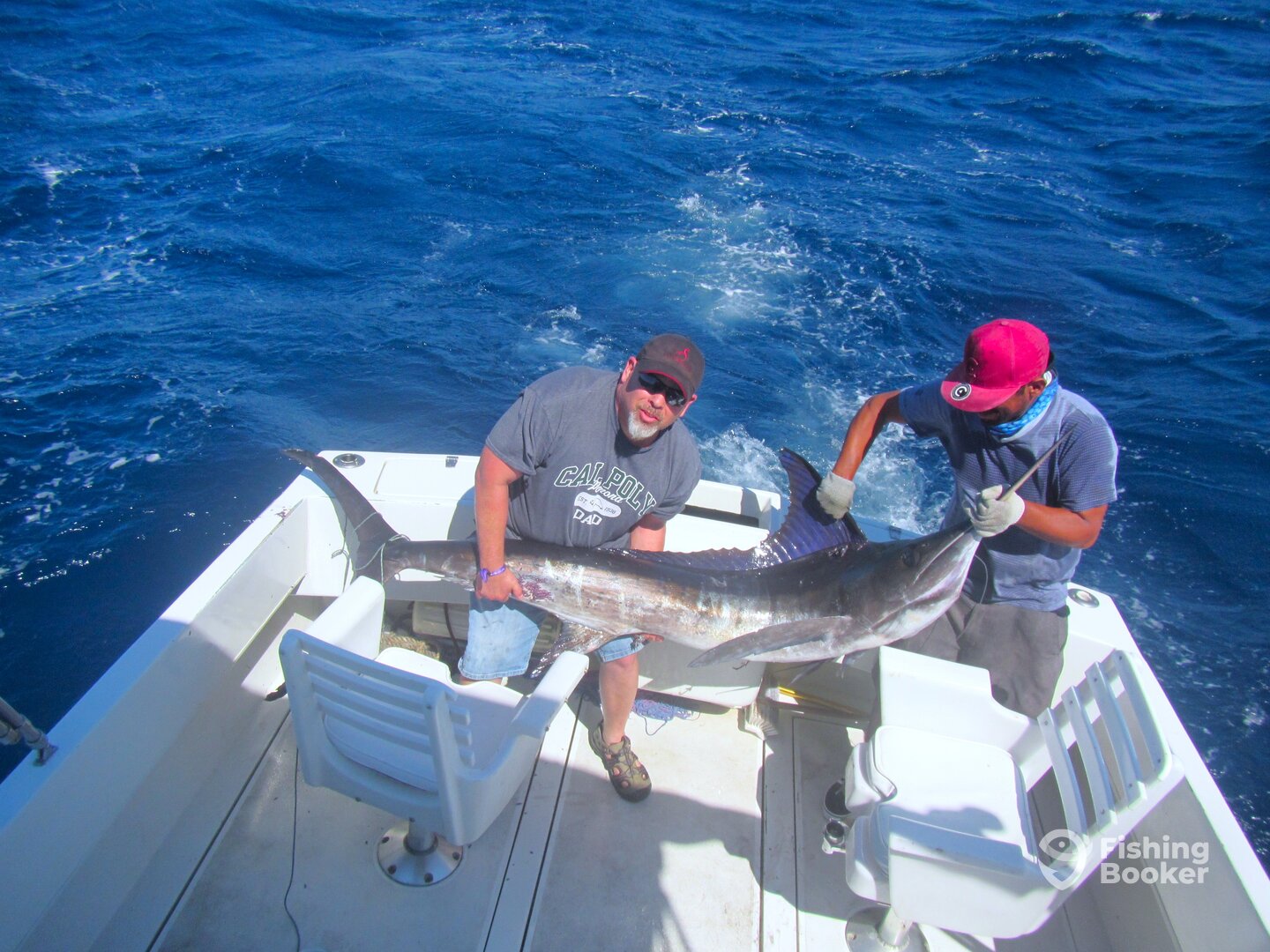 Cabo San Lucas Report Photo 0