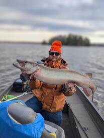 Boulder Junction, WI Fall Trophy Muskies
