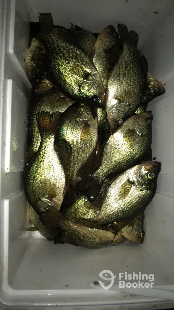 Clewiston Report Photo 0