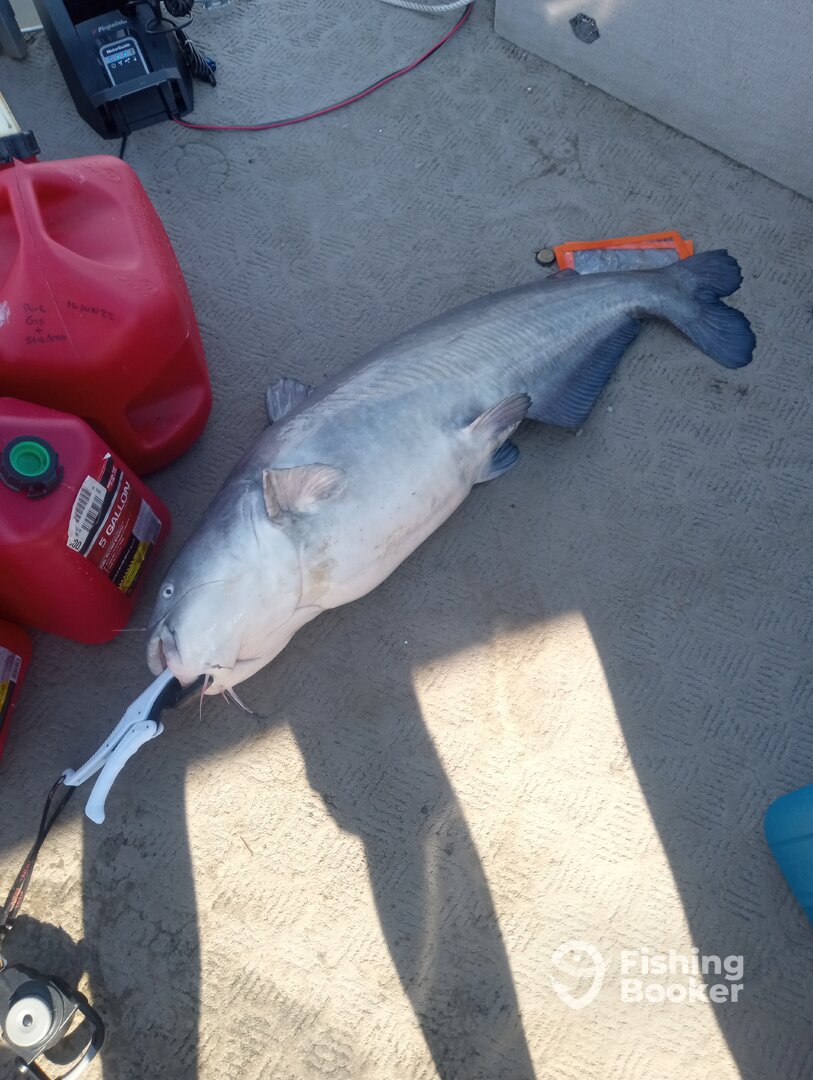 Arlington Report Photo 0