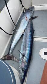 Calheta Report Photo 1