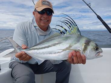 Mission rouster fish 