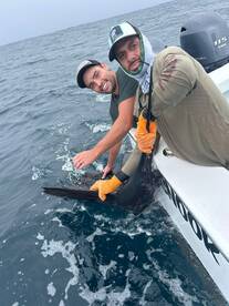 Foto Report Herradura 1