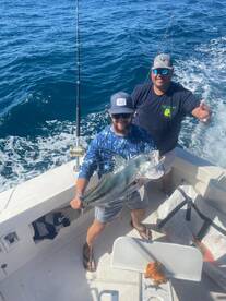 Really uncommon to catch roosters in Nov