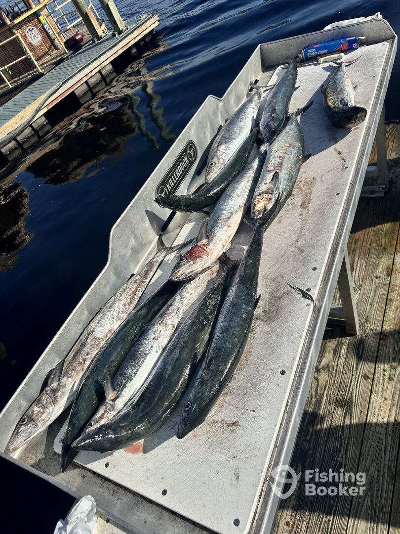 Little River Report Photo 0