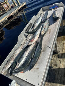 5 hour King Mackerel Trip