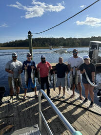 Little River Report Photo 1