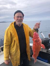 Coal Harbour Report Photo 2