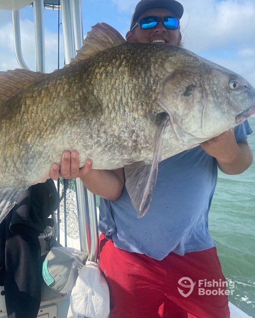 Fernandina Beach Report Photo 0