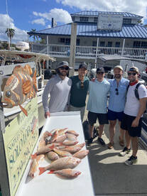 Winner winner snapper dinner