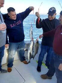 New York City Report Photo 1