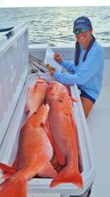 Working with a Marine Biologist