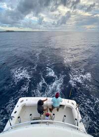 Puerto Aventuras Report Photo 2