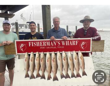 Fast action kind of day