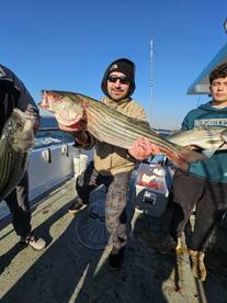 New York City Report Photo 1