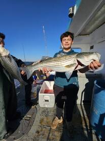 New York City Report Photo 2