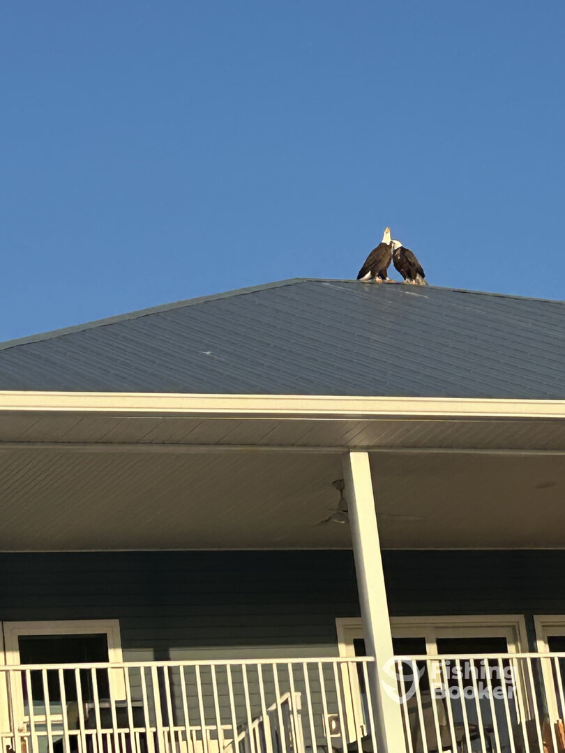 Fort Myers Report Photo 0