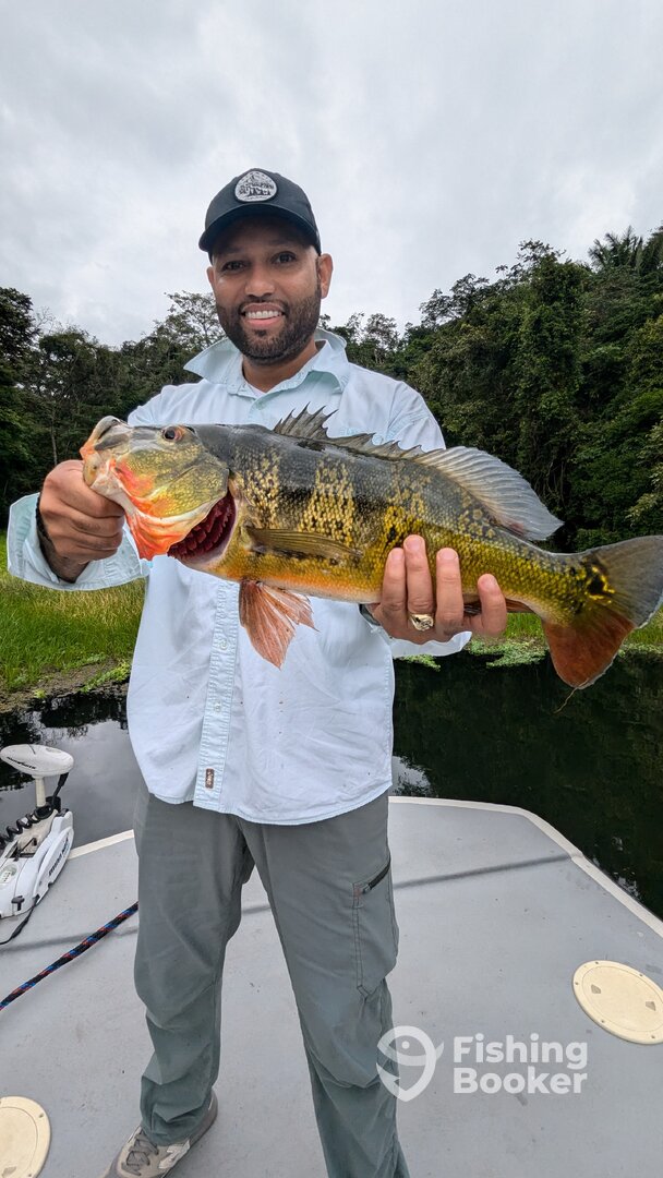 Gamboa Report Photo 0