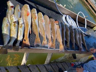 Port Mansfield Report Photo 1