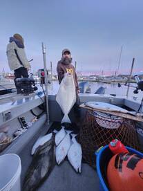 Some great halibut fishing still going o