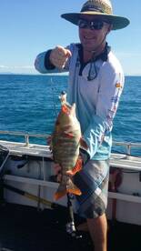 Airlie Beach Report Photo 1