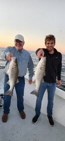 Pasadena Report Photo 1