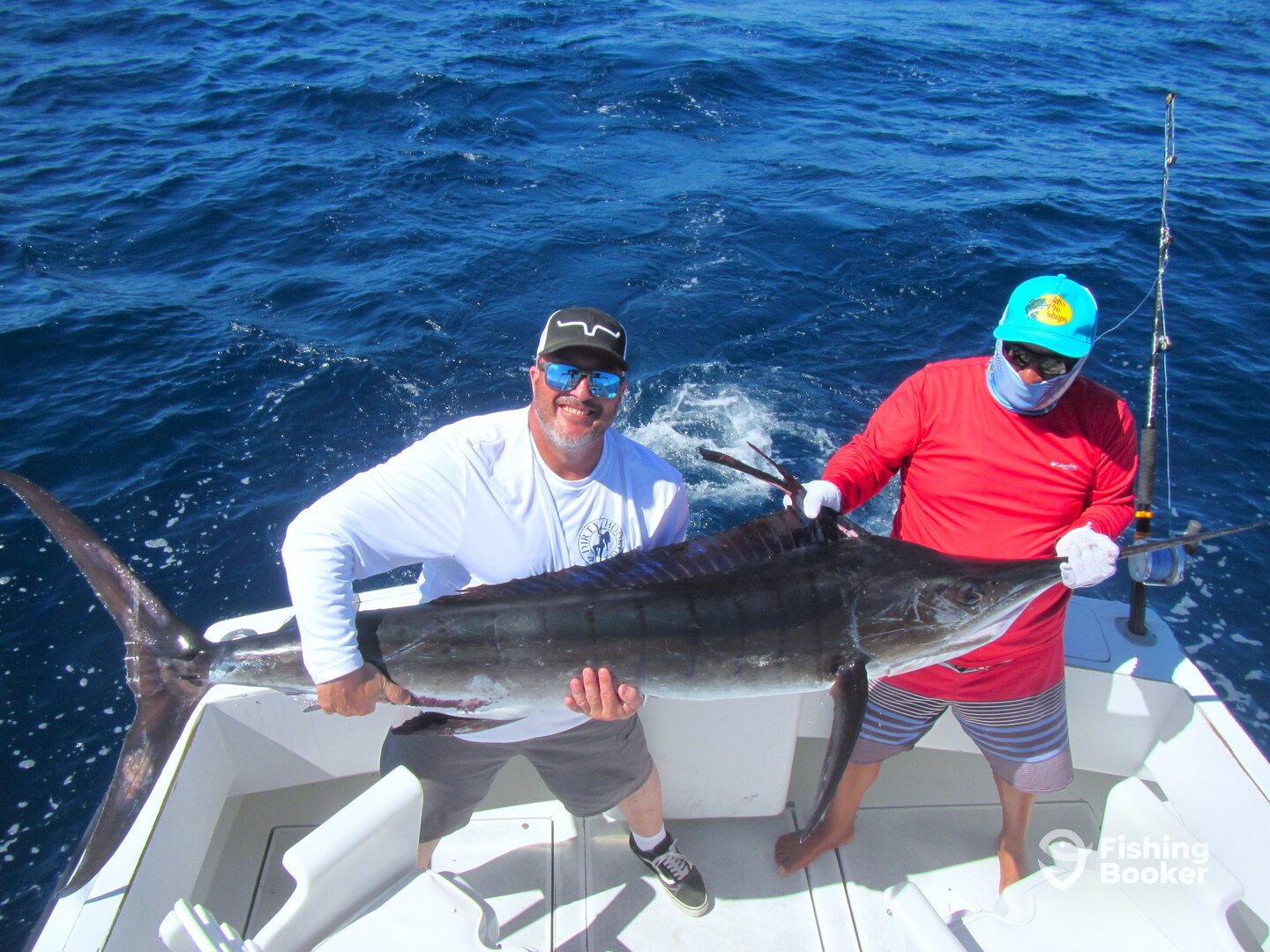 Cabo San Lucas Report Photo 0