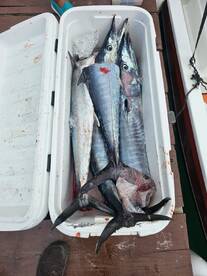 Oakridge Report Photo 2