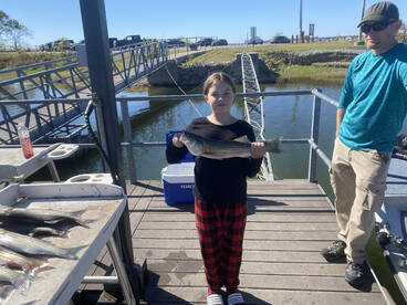 Platter Report Photo 2