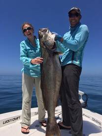 Long Beach Report Photo 1