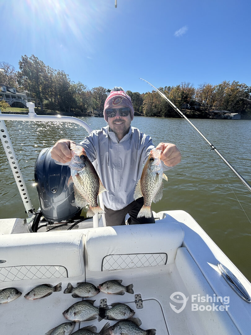 Tega Cay Report Photo 0