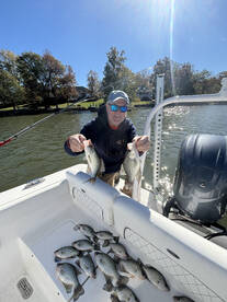 Tega Cay Report Photo 1