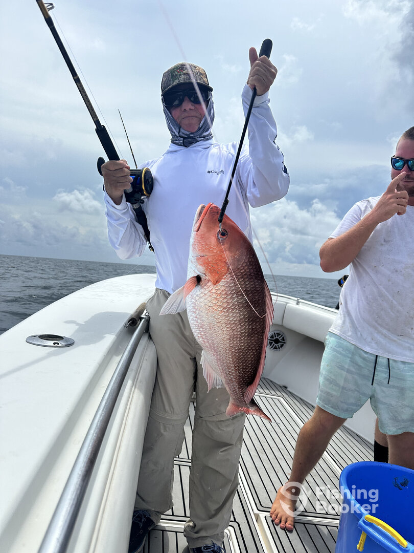 Dauphin Island Report Photo 0