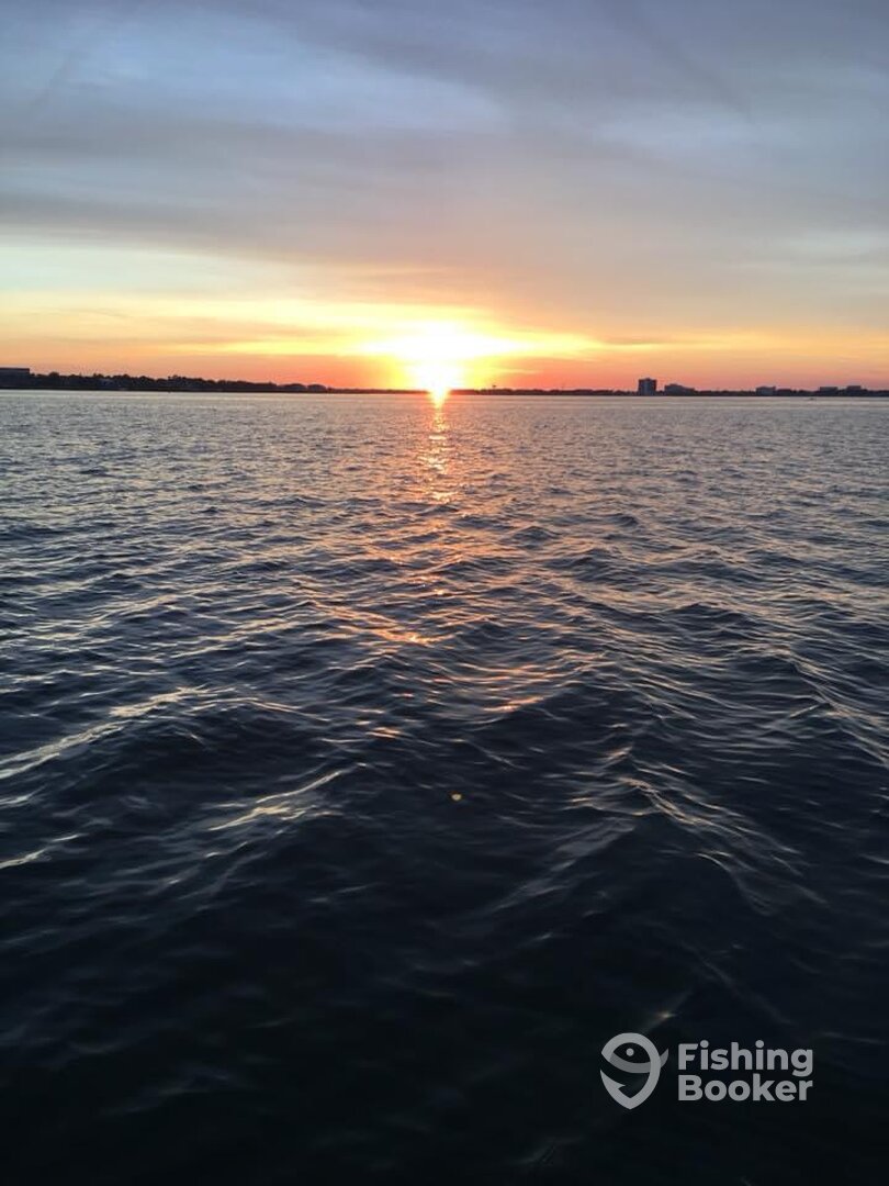 Houston Report Photo 0