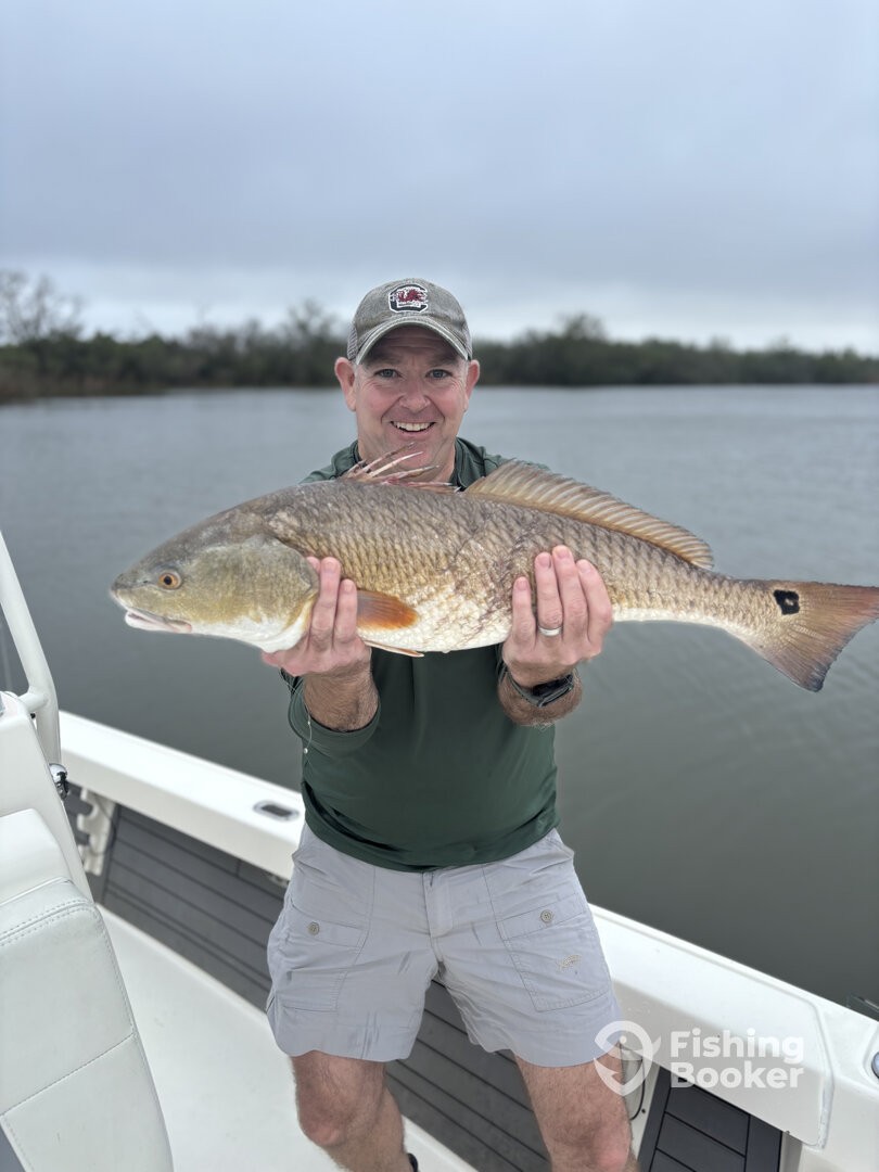 Venice Report Photo 0