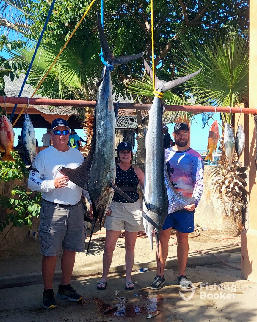 San Jose del Cabo Report Photo 0