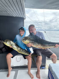Mahi mahi action