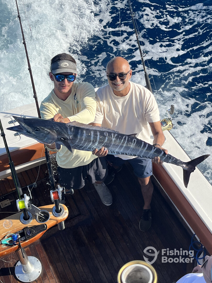 Miami Report Photo 0